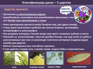 Класификација данас – 5 царства
• Организми са организованим једром.
• Једноћелијски, колонијски или вишећелијски организми с тим
што ћелије нису органозоване у ткива.
Царство
протиста
Царство протиста
• Неки припадници протиста имају ћелијски зид, док други немају.
• У овој групи организама срећемо све начине исхране: аутотрофно,
хетеротрофно и миксотрофно.
• Као резервну материју у ћелији имају неке врсте сложених шећера и масти.
• Најчешће се размножавају простом деобом ћелија, али код неких се среће и
размножавање при ком се размењује генетички материјал (садржај једра)
између две јединке.
• Већина припадника има способност кретања.
• У ово царство спадају алге, слузаве гљиве, водене буђи и праживотиње
слузаве гљиве водене буђиалге праживотиње
 