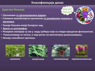 Класификација данас
• Ћелије биљака имају ћелијски зид.
• Хране се аутотрофно.
• Резервне материје су им у виду шећера који се ствара процесом фотосинтезе.
• Размножавају се полно, а није ретко ни вегетативно размножавање.
• Немају способност кретања.
Царство
биљака
Царство биљака
• Организми са организованим једром.
• Сложени вишећелијски организми са развијеним ткивима и
органима.
маховине голосеменицепапратнице скривеносеменице
 