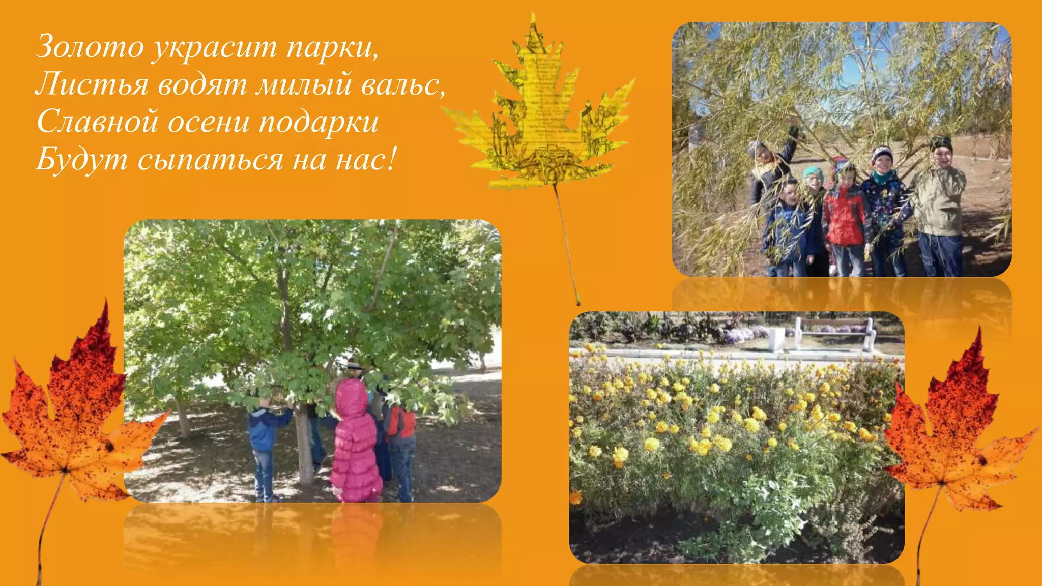 Золото украсит парки,
Листья водят милый вальс,
Славной осени подарки
Будут сыпаться на нас!