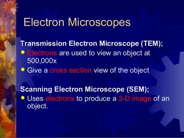 7 1 Cell Discovery And Theory