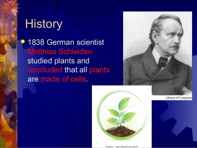 7 1 Cell Discovery And Theory
