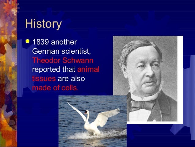 7 1 Cell Discovery And Theory