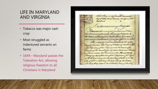 LIFE IN MARYLAND
AND VIRGINIA
• Tobacco was major cash
crop
• Most struggled as
indentured servants on
farms
• 1649 – Maryland passes the
Toleration Act, allowing
religious freedom to all
Christians in Maryland
 