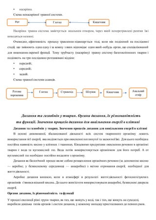Биология 7 Класс | PDF