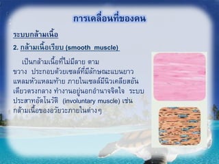 การเคลื่อนที่ของคน
ระบบกล้ามเนื้อ
เป็นกล้ามเนื้อที่ไม่มีลาย ตาม
ขวาง ประกอบด้วยเซลล์ที่มีลักษณะแบนยาว
แหลมหัวแหลมท้าย ภายในเซลล์มีนิวเคลียสอัน
เดียวตรงกลาง ทางานอยู่นอกอานาจจิตใจ ระบบ
ประสาทอัตโนวัติ (involuntary muscle) เช่น
กล้ามเนื้อของอวัยวะภายในต่างๆ
2. กล้ามเนื้อเรียบ (smooth muscle)
39
 