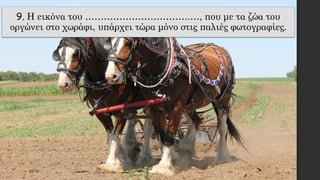 9. Η εικόνα του …………………………….…, που με τα ζώα του
οργώνει στο χωράφι, υπάρχει τώρα μόνο στις παλιές φωτογραφίες.
 