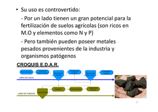 • Su uso es controvertido:
- Por un lado tienen un gran potencial para la
fertilización de suelos agrícolas (son ricos en
M.O y elementos como N y P)
- Pero también pueden poseer metales
pesados provenientes de la industria y
organismos patógenosorganismos patógenos
57
 