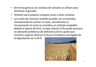 • De forma general, los residuos de cereales se utilizan para
alimentar al ganado.
• También para preparar compost junto a otros residuos.
• Los restos de cosechas también pueden ser incinerados,
incorporando las cenizas al suelo, actualmente su
incorporación al suelo se considera un método aceptable
debido al aporte de M.O, su baja relación C/N puede provocar
no obstante problemas de deficiencia de N a parte que
incinerar supones destruir la fauna microbiana encargada deincinerar supones destruir la fauna microbiana encargada de
la degradación de la M.O
88
 