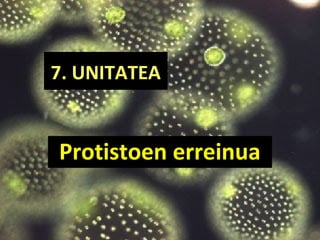 7. UNITATEA
Protistoen erreinua
 