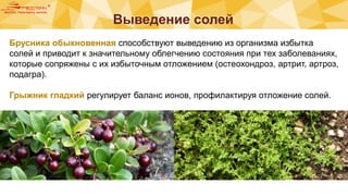 Выведение солей
a
>
é
e
:
Брусника обыкновенная способствуют выведению из организма избытка
солей и приводит к значительному облегчению состояния при тех заболеваниях,
которые сопряжены с их избыточным отложением (остеохондроз, артрит, артроз,
подагра).
Грыжник гладкий регулирует баланс ионов, профилактируя отложение солей.
 