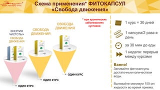 Схема применения* ФИТОКАПСУЛ
«Свобода движения»
ОДИН КУРС
ОДИН КУРС
ОДИН КУРС
ЭНЕРГИЯ
ЧИСТОТЫ+
СВОБОДА
ДВИЖЕНИЯ
1 курс = 30 дней
за 30 мин до еды
1 капсула/2 раза в
день
1 неделя: перерыв
между курсами
Важно!
Запивайте фитокапсулы
достаточным количеством
воды.
Выпивайте минимум 150 мл
жидкости во время приема.
СВОБОДА
ДВИЖЕНИЯ
СВОБОДА
ДВИЖЕНИЯ
* при хронических
заболеваниях
суставов
 