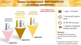 Схема применения* ФИТОКАПСУЛ
«Свобода движения»
ОДИН КУРС
ОДИН КУРС
ОДИН КУРС
ЭНЕРГИЯ
ЧИСТОТЫ
1 курс = 30 дней
за 30 мин до еды
1 капсула/2 раза в
день
1 неделя: перерыв
между курсами
Важно!
Запивайте фитокапсулы
достаточным количеством
воды.
Выпивайте минимум 150 мл
жидкости во время приема.
СВОБОДА
ДВИЖЕНИЯ
СВОБОДА
ДВИЖЕНИЯ+
КРЕПКИЙ
ИММУНИТЕТ
* для профилактики
заболеваний суставов
 