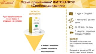 с момента получения
травмы до полного
восстановления.
1 курс = 30 дней
за 30 мин до еды
1 капсула/2 раза в
день
1 неделя: перерыв
между курсами
Важно!
Запивайте фитокапсулы
достаточным количеством
воды.
Выпивайте минимум 150 мл
жидкости во время приема.
СВОБОДА
ДВИЖЕНИЯ
* для восстановления
после травм и
операций на суставах
Схема применения* ФИТОКАПСУЛ
«Свобода движения»
 