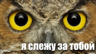 я слежу за тобой
 