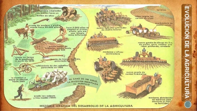 Historia de la agricultura en méxico y zonas agricolas de riego y tem…