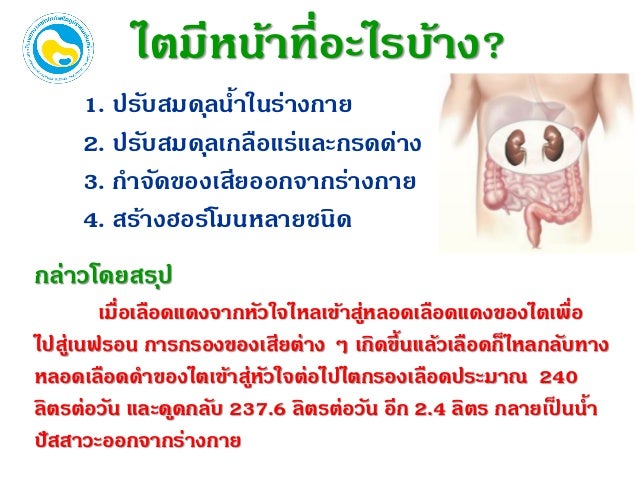 à¸à¸¥à¸à¸²à¸£à¸à¹à¸à¸«à¸²à¸£à¸¹à¸à¸ à¸²à¸à¸ªà¸³à¸«à¸£à¸±à¸ à¸à¸²à¸£à¸£à¸±à¸à¸©à¸²à¹à¸£à¸à¹à¸à¸§à¸²à¸¢