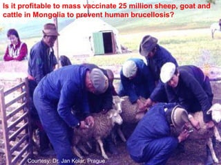 5. April 2016 Präsentationstitel 3
Courtesy: Dr. Jan Kolar, Prague
Is it profitable to mass vaccinate 25 million sheep, go...