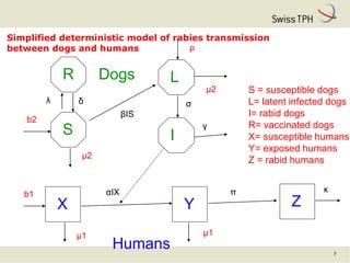 7
Simplified deterministic model of rabies transmission
between dogs and humans
S
R L
I
YX Z
βIS
λ δ σ
γ
αIX π κ
b1
b2
μ2
...