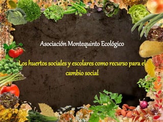 Asociación Montequinto Ecológico
Los huertos sociales y escolares como recurso para el
cambio social
 