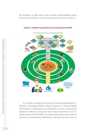 TransformaçãonoMundoRural:doAtendimentoPontualàEstratégiaCompartilhada
204
do nitrogênio, ou seja, reúne a tão buscada sustentabilidade social,
econômica e ambiental. O ciclo produtivo pode ser visto na Figura 3:
Figura 3 – Modelo esquemático da Tecnologia Social PAIS
Em função da relevância do projeto Produção Agroecológica In-
tegrada e Sustentável (PAIS), diversos estados e o Distrito Federal
demandaram a implantação de unidades por meio da submissão de
projetos ao Sebrae, em boa parte das vezes em parceria com a Fun-
dação Banco do Brasil (FBB), que ficava responsável pelo aporte de
recursos de contrapartida destinados à aquisição de ativos fixos e
 