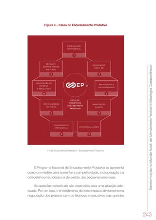 TransformaçãonoMundoRural:doAtendimentoPontualàEstratégiaCompartilhada
243
Figura 4 – Fases do Encadeamento Produtivo
Fonte: Documento Orientativo – Encadeamento Produtivo
O Programa Nacional de Encadeamento Produtivo se apresenta
como um modelo para aumentar a competitividade, a cooperação e a
competência tecnológica e de gestão das pequenas empresas.
As questões conceituais são essenciais para uma atuação ade-
quada. Por um lado, o entendimento do tema impacta diretamente na
negociação dos projetos com os técnicos e executivos das grandes
 