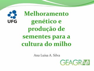 Ana Luisa A. Silva
Melhoramento
genético e
produção de
sementes para a
cultura do milho
 