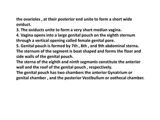 the ovarioles , at their posterior end unite to form a short wide
oviduct.
3. The oviducts unite to form a very short median vagina.
4. Vagina opens into a large genital pouch on the eighth sternum
through a vertical opening called female genital pore.
5. Genital pouch is formed by 7th , 8th , and 9th abdominal sterna.
The sternum of the segment is boat shaped and forms the floor and
side walls of the genital pouch.
The sterna of the eighth and ninth segmants constitute the anterior
wall and the roof of the genital pouch , respectively.
The genital pouch has two chambers the anterior Gynatrium or
genital chamber , and the posterior Vestibullum or oothecal chamber.
 