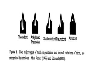 7. structural organisation in animals