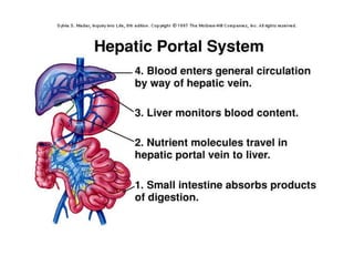 7. structural organisation in animals