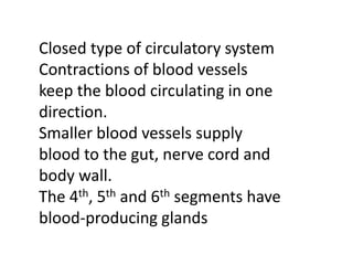Closed type of circulatory system
Contractions of blood vessels
keep the blood circulating in one
direction.
Smaller blood vessels supply
blood to the gut, nerve cord and
body wall.
The 4th, 5th and 6th segments have
blood-producing glands
 