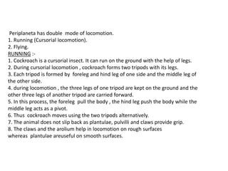 Periplaneta has double mode of locomotion.
1. Running (Cursorial locomotion).
2. Flying.
RUNNING :-
1. Cockroach is a cursorial insect. It can run on the ground with the help of legs.
2. During cursorial locomotion , cockroach forms two tripods with its legs.
3. Each tripod is formed by foreleg and hind leg of one side and the middle leg of
the other side.
4. during locomotion , the three legs of one tripod are kept on the ground and the
other three legs of another tripod are carried forward.
5. In this process, the foreleg pull the body , the hind leg push the body while the
middle leg acts as a pivot.
6. Thus cockroach moves using the two tripods alternatively.
7. The animal does not slip back as plantulae, pulvilli and claws provide grip.
8. The claws and the arolium help in locomotion on rough surfaces
whereas plantulae areuseful on smooth surfaces.
 