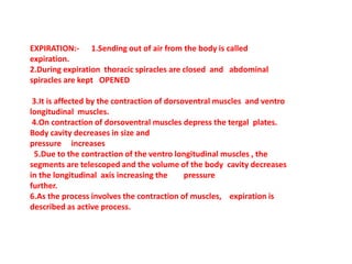 EXPIRATION:- 1.Sending out of air from the body is called
expiration.
2.During expiration thoracic spiracles are closed and abdominal
spiracles are kept OPENED
3.It is affected by the contraction of dorsoventral muscles and ventro
longitudinal muscles.
4.On contraction of dorsoventral muscles depress the tergal plates.
Body cavity decreases in size and
pressure increases
5.Due to the contraction of the ventro longitudinal muscles , the
segments are telescoped and the volume of the body cavity decreases
in the longitudinal axis increasing the pressure
further.
6.As the process involves the contraction of muscles, expiration is
described as active process.
 