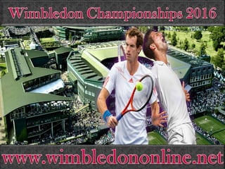 Wimbledon mens singles 2016 Live stream