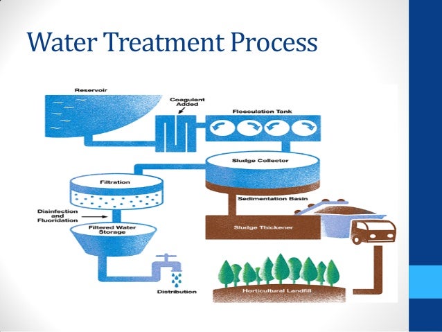 Natural Water Purification Natural Water Purification
