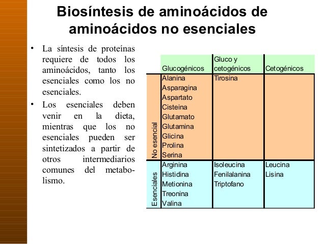 Agentes de volume: á gua, sorbitol e arginina; e