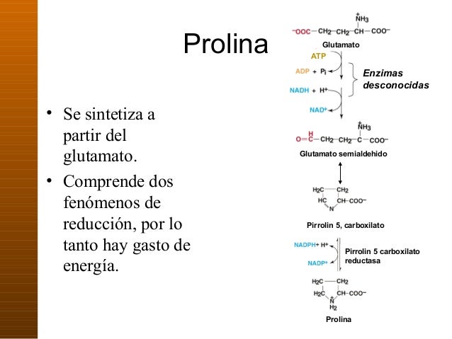 como acelerar el metabolismo para adelgazar se explica