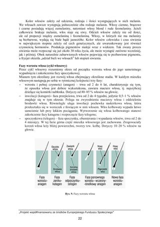 „Projekt współfinansowany ze środków Europejskiego Funduszu Społecznego”
22
Kolor włosów zależy od odcienia, rodzaju i ilości występujących w nich melanin.
We włosach zawsze występują jednocześnie oba rodzaje melanin. Włosy ciemne, brązowe
i czarne posiadają więcej eumelaniny, natomiast włosy blond i rude feomelaniny. Jeżeli
całkowicie brakuje melanin, włos staje się siwy. Odcień włosów zależy nie od ilości,
ale od proporcji między eumelaniną i feomelaniną. Włosy, w których nie ma melaniny
są bezbarwne, wydają się białe bądź jasnożółte. Kolor włosów człowieka i czas siwienia
w największym stopniu zależy od cech genetycznych, ale uwarunkowany jest również
czynnością hormonów. Produkcja pigmentów maleje wraz z wiekiem. Tak zwany proces
siwienia może rozpocząć się już około 30 roku życia, ale może wystąpić zarówno wcześniej,
jak i później. Obok naturalnie zabarwionych włosów pojawiają się te pozbawione pigmentu,
a fryzjer określa „udział bieli we włosach” lub stopień siwienia.
Fazy wzrostu włosa (cykl włosowy)
Przez cykl włosowy rozumiemy okres od początku wzrostu włosa do jego samoistnego
wypadnięcia i zakończenia fazy spoczynkowej.
Mianem tym określany jest rozwój włosa obejmujący określone stadia. W każdym mieszku
włosowym następują po sobie w rytmicznej kolejności trzy fazy:
− wzrostu i pełnej czynności (anagen) – trwa od 2 do 6 lat, charakteryzuje się tym,
że opuszka włosa jest dobrze wykształcona, zawiera macierz włosa, tj. najszybciej
dzielące się komórki nabłonka. Dotyczy od 80–85 % włosów na głowie;
− inwolucji (katagen)– faza przejściowa, trwa od 2 do 4 tygodni, jedynie 0,5–1 % włosów
znajduje się w tym okresie. Polega na zwyrodnieniu macierzy włosa i oddzieleniu
brodawki włosa. Równolegle ulega inwolucji pochewka naskórkowa włosa, która
przekształca się w woreczek z tkwiącym w nim włosem. Włos kolbowaty wypada łatwo
samoistnie lub przy lekkim pociąganiu. Wytworzenie się włosa kolbowatego stanowi
zakończenie fazy katagenu i rozpoczęcie fazy telogenu;
− spoczynkowa (telogen) – faza spoczynku, obumierania i wypadania włosów, trwa od 2 do
4 miesięcy. W tej fazie górna część mieszka włosowego jest zachowana. Zrogowaciały
korzeń włosa leży bliżej powierzchni, tworzy tzw. kolbę. Dotyczy 10–20 % włosów na
głowie.
Rys. 9. Fazy wzrostu włosa
 