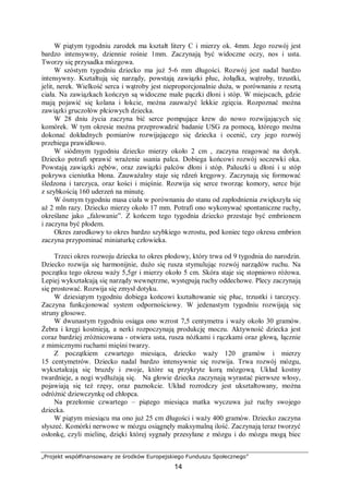 „Projekt współfinansowany ze środków Europejskiego Funduszu Społecznego”
14
W piątym tygodniu zarodek ma kształt litery C i mierzy ok. 4mm. Jego rozwój jest
bardzo intensywny, dziennie rośnie 1mm. Zaczynają być widoczne oczy, nos i usta.
Tworzy się przysadka mózgowa.
W szóstym tygodniu dziecko ma już 5-6 mm długości. Rozwój jest nadal bardzo
intensywny. Kształtują się narządy, powstają zawiązki płuc, żołądka, wątroby, trzustki,
jelit, nerek. Wielkość serca i wątroby jest nieproporcjonalnie duża, w porównaniu z resztą
ciała. Na zawiązkach kończyn są widoczne małe pączki dłoni i stóp. W miejscach, gdzie
mają pojawić się kolana i łokcie, można zauważyć lekkie zgięcia. Rozpoznać można
zawiązki gruczołów płciowych dziecka.
W 28 dniu życia zaczyna bić serce pompujące krew do nowo rozwijających się
komórek. W tym okresie można przeprowadzić badanie USG za pomocą, którego można
dokonać dokładnych pomiarów rozwijającego się dziecka i ocenić, czy jego rozwój
przebiega prawidłowo.
W siódmym tygodniu dziecko mierzy około 2 cm , zaczyna reagować na dotyk.
Dziecko potrafi sprawić wrażenie ssania palca. Dobiega końcowi rozwój soczewki oka.
Powstają zawiązki zębów, oraz zawiązki palców dłoni i stóp. Paluszki u dłoni i u stóp
pokrywa cieniutka błona. Zauważalny staje się rdzeń kręgowy. Zaczynają się formować
śledzona i tarczyca, oraz kości i mięśnie. Rozwija się serce tworząc komory, serce bije
z szybkością 160 uderzeń na minutę.
W ósmym tygodniu masa ciała w porównaniu do stanu od zapłodnienia zwiększyła się
aż 2 mln razy. Dziecko mierzy około 17 mm. Potrafi ono wykonywać spontaniczne ruchy,
określane jako „falowanie”. Z końcem tego tygodnia dziecko przestaje być embrionem
i zaczyna być płodem.
Okres zarodkowy to okres bardzo szybkiego wzrostu, pod koniec tego okresu embrion
zaczyna przypominać miniaturkę człowieka.
Trzeci okres rozwoju dziecka to okres płodowy, który trwa od 9 tygodnia do narodzin.
Dziecko rozwija się harmonijnie, dużo się rusza stymulując rozwój narządów ruchu. Na
początku tego okresu waży 5,5gr i mierzy około 5 cm. Skóra staje się stopniowo różowa.
Lepiej wykształcają się narządy wewnętrzne, występują ruchy oddechowe. Plecy zaczynają
się prostować. Rozwija się zmysł dotyku.
W dziesiątym tygodniu dobiega końcowi kształtowanie się płuc, trzustki i tarczycy.
Zaczyna funkcjonować system odpornościowy. W jedenastym tygodniu rozwijają się
struny głosowe.
W dwunastym tygodniu osiąga ono wzrost 7,5 centymetra i waży około 30 gramów.
Żebra i kręgi kostnieją, a nerki rozpoczynają produkcję moczu. Aktywność dziecka jest
coraz bardziej zróżnicowana - otwiera usta, rusza nóżkami i rączkami oraz głową, łącznie
z mimicznymi ruchami mięśni twarzy.
Z początkiem czwartego miesiąca, dziecko waży 120 gramów i mierzy
15 centymetrów. Dziecko nadal bardzo intensywnie się rozwija. Trwa rozwój mózgu,
wykształcają się bruzdy i zwoje, które są przykryte korą mózgową. Układ kostny
twardnieje, a nogi wydłużają się. Na głowie dziecka zaczynają wyrastać pierwsze włosy,
pojawiają się też rzęsy, oraz paznokcie. Układ rozrodczy jest ukształtowany, można
odróżnić dziewczynkę od chłopca.
Na przełomie czwartego – piątego miesiąca matka wyczuwa już ruchy swojego
dziecka.
W piątym miesiącu ma ono już 25 cm długości i waży 400 gramów. Dziecko zaczyna
słyszeć. Komórki nerwowe w mózgu osiągnęły maksymalną ilość. Zaczynają teraz tworzyć
osłonkę, czyli mielinę, dzięki której sygnały przesyłane z mózgu i do mózgu mogą biec
 