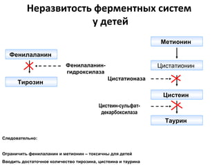 Неразвитость ферментных систем
у детей
Фенилаланин
Тирозин
Таурин
Цистеин
Метионин
Фенилаланин-
гидроксилаза
Цистатионаза
Цистеин-сульфат-
декарбоксилаза
Цистатионин
Следовательно:
Ограничить фенилаланин и метионин – токсичны для детей
Вводить достаточное количество тирозина, цистеина и таурина
 