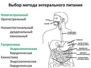Назогастральный
Орогастральный
Назоинтестинальный
дуоденальный
еюнальный
Гастростома
Эндоскопическая
Хирургическая
Еюностома
Эндоскопическая
Хирургическая
Выбор метода энтерального питания
 