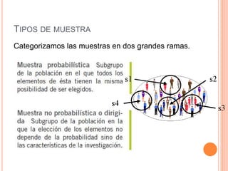 TIPOS DE MUESTRA
Categorizamos las muestras en dos grandes ramas.
 