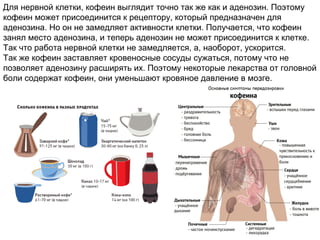 Для нервной клетки, кофеин выглядит точно так же как и аденозин. Поэтому
кофеин может присоединится к рецептору, который предназначен для
аденозина. Но он не замедляет активности клетки. Получается, что кофеин
занял место аденозина, и теперь аденозин не может присоединится к клетке.
Так что работа нервной клетки не замедляется, а, наоборот, ускорится.
Так же кофеин заставляет кровеносные сосуды сужаться, потому что не
позволяет аденозину расширять их. Поэтому некоторые лекарства от головной
боли содержат кофеин, они уменьшают кровяное давление в мозге.
 