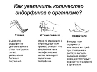 Как увеличить количествоКак увеличить количество
эндорфинов в организме?эндорфинов в организме?
Травма
Выработка
эндорфинов
увеличивается в
ответ на стресс с
целью
уменьшения
болевых
ощущений.
Иглоукалывание
Одна из старейших в
мире медицинских
практик, считает, что
введение иглы в
периферические
нервы активирует
выделение
эндорфина.
Перец Чили
В перце чили
содержится
капсаицин, который
при попадании в
ротовую полость
вызывает эффект
ожога и стимулирует
выработку эндорфина
в организме.
 