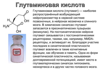 Глутаминовая кислотаГлутаминовая кислота
Глутаминовая кислота (глутамат) — наиболее
распространённый возбуждающий
нейротрансмиттер в нервной системе
позвоночных, в нейронах мозжечка и спинного
мозга. В химических синапсах глутамат
запасается в пресинаптических пузырьках
(везикулах). На постсинаптическом нейроне
глутамат связывается с постсинаптическими
рецепторами, такими, как, например, NMDA-
рецепторы, и активирует их. Благодаря участию
последних в синаптической пластичности
глутамат вовлечен в такие когнитивные
функции, как обучение и память. Одна из форм
синаптической пластичности, называемая
долговременной потенциацией, имеет место в
глутаматергических синапсах гиппокампа,
неокортекса и в других частях головного мозга.
 