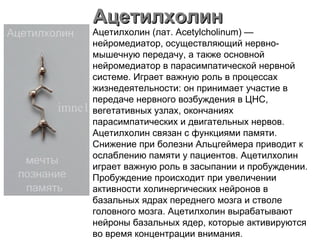 АцетилхолинАцетилхолин
Ацетилхолин (лат. Acetylcholinum) —
нейромедиатор, осуществляющий нервно-
мышечную передачу, а также основной
нейромедиатор в парасимпатической нервной
системе. Играет важную роль в процессах
жизнедеятельности: он принимает участие в
передаче нервного возбуждения в ЦНС,
вегетативных узлах, окончаниях
парасимпатических и двигательных нервов.
Ацетилхолин связан с функциями памяти.
Снижение при болезни Альцгеймера приводит к
ослаблению памяти у пациентов. Ацетилхолин
играет важную роль в засыпании и пробуждении.
Пробуждение происходит при увеличении
активности холинергических нейронов в
базальных ядрах переднего мозга и стволе
головного мозга. Ацетилхолин вырабатывают
нейроны базальных ядер, которые активируются
во время концентрации внимания.
 