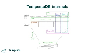 TempestaDB internals
 