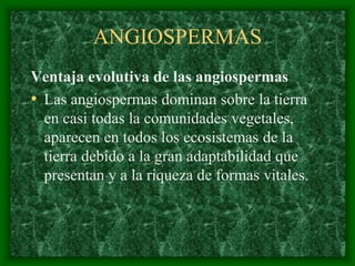 magnoliophyta | PDF