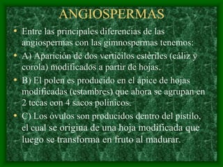 magnoliophyta | PDF