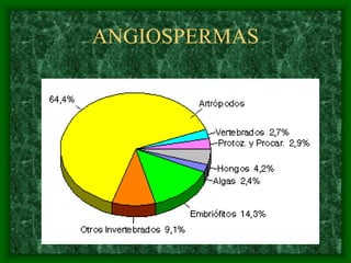 magnoliophyta | PDF