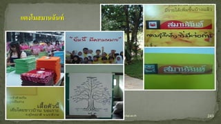 243www.kpi.ac.th
แตงโมสมานฉันท์
 